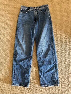 Everlane The Way High Jeans 28L